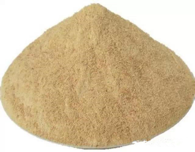 色翁荡息又大又硬又粗又爽