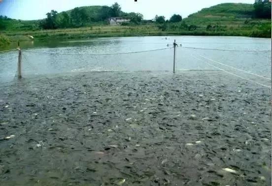 色翁荡息又大又硬又粗又爽