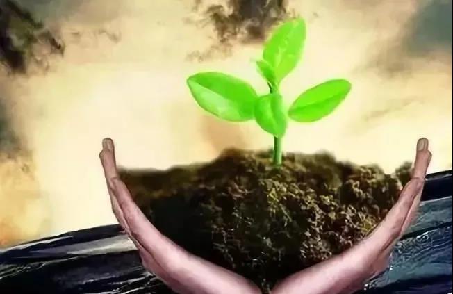 色翁荡息又大又硬又粗又爽