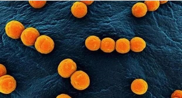 色翁荡息又大又硬又粗又爽