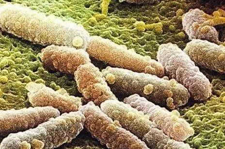 色翁荡息又大又硬又粗又爽