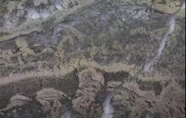 色翁荡息又大又硬又粗又爽