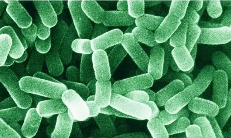 色翁荡息又大又硬又粗又爽