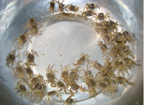 色翁荡息又大又硬又粗又爽