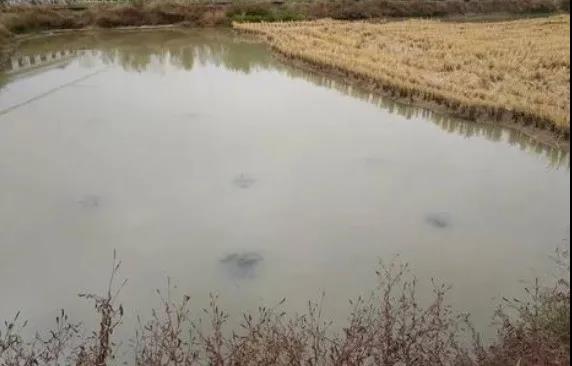 色翁荡息又大又硬又粗又爽