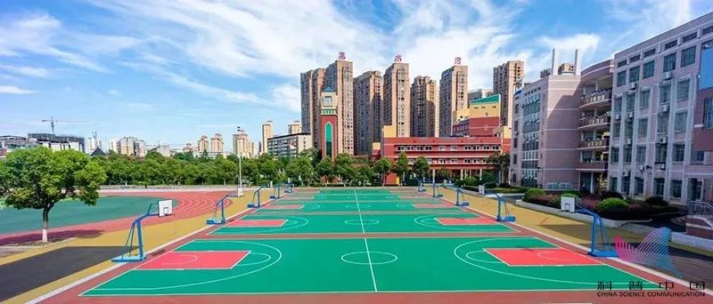 色翁荡息又大又硬又粗又爽