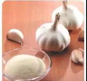 色翁荡息又大又硬又粗又爽