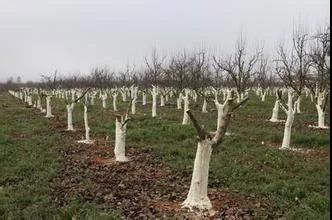 色翁荡息又大又硬又粗又爽