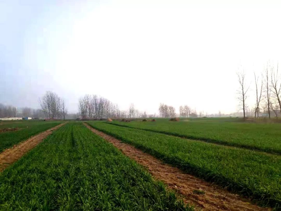 色翁荡息又大又硬又粗又爽