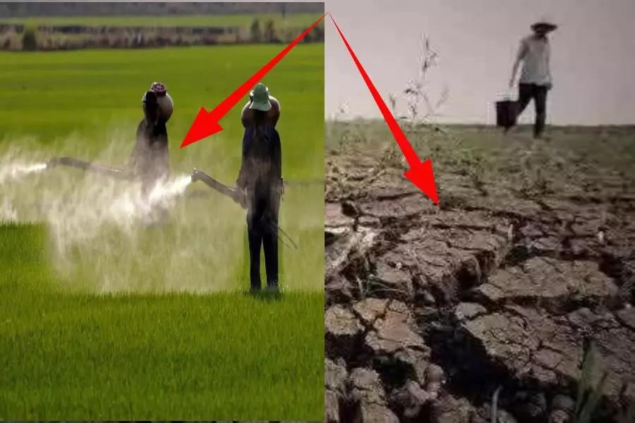 色翁荡息又大又硬又粗又爽