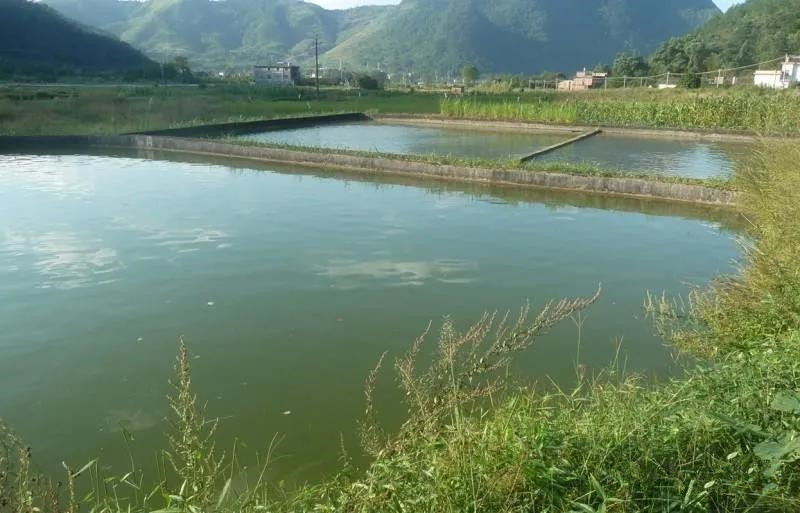 色翁荡息又大又硬又粗又爽