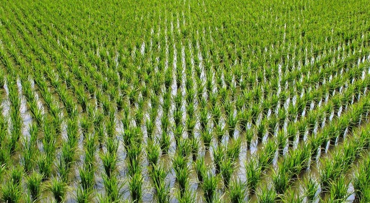 色翁荡息又大又硬又粗又爽