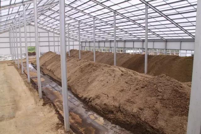 色翁荡息又大又硬又粗又爽