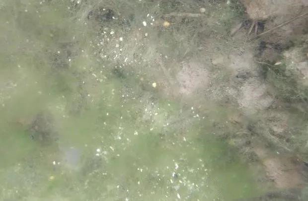 色翁荡息又大又硬又粗又爽