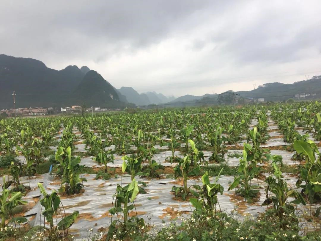 色翁荡息又大又硬又粗又爽