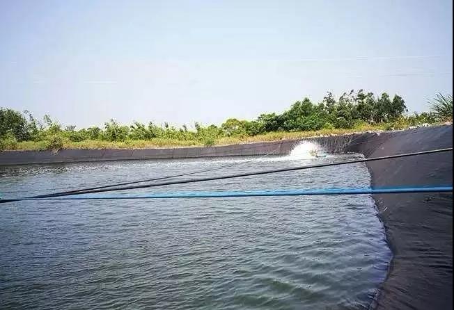 色翁荡息又大又硬又粗又爽