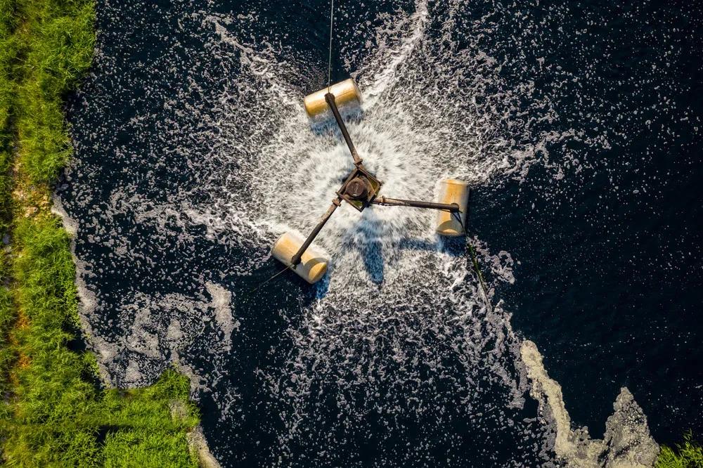 色翁荡息又大又硬又粗又爽