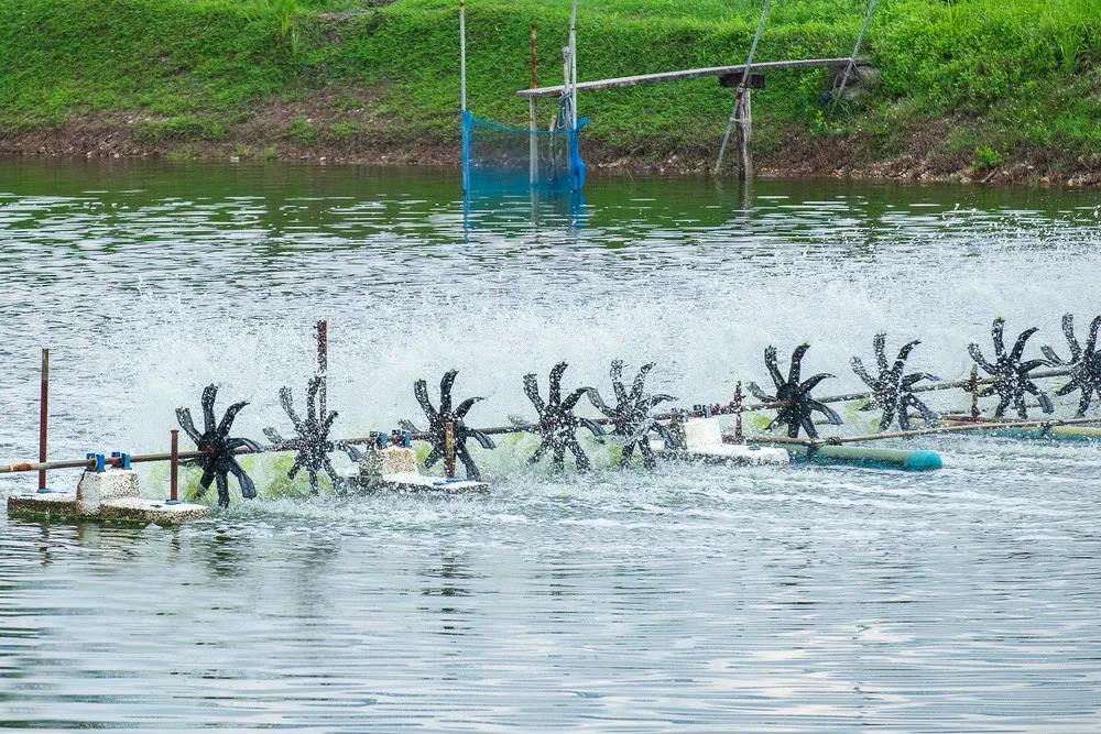 色翁荡息又大又硬又粗又爽