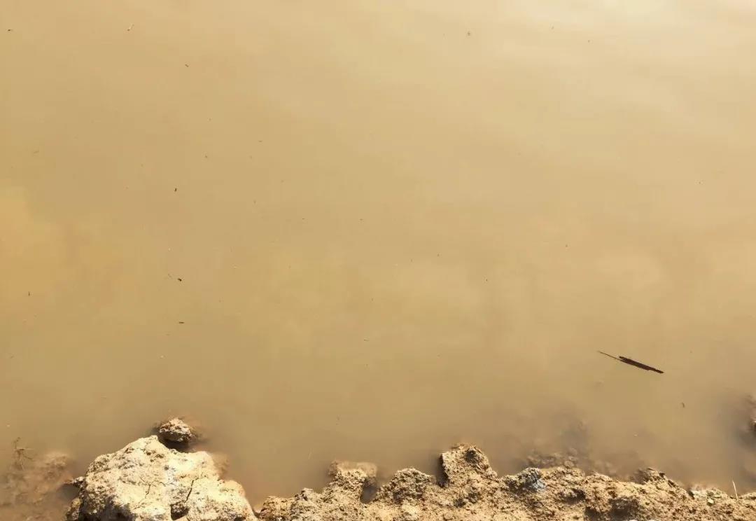 色翁荡息又大又硬又粗又爽