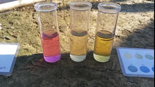 色翁荡息又大又硬又粗又爽