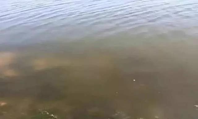 色翁荡息又大又硬又粗又爽