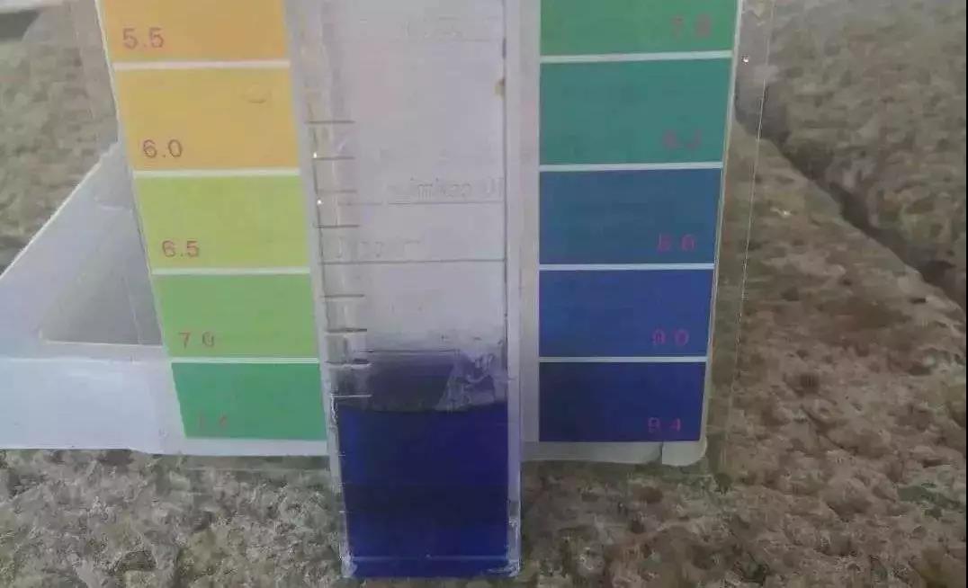 色翁荡息又大又硬又粗又爽