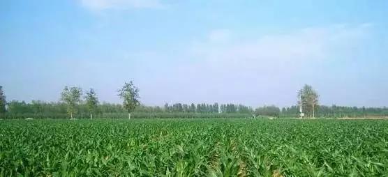 色翁荡息又大又硬又粗又爽