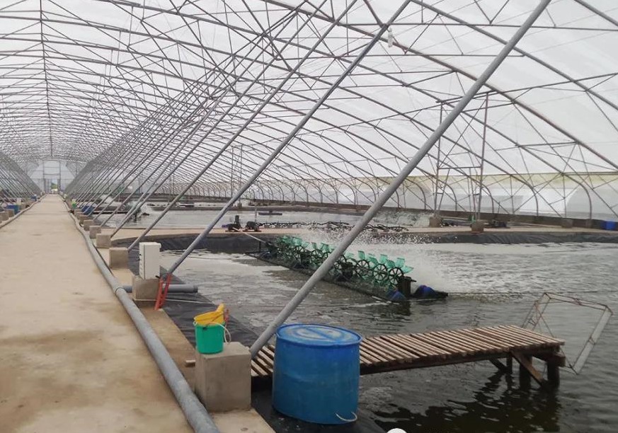 色翁荡息又大又硬又粗又爽