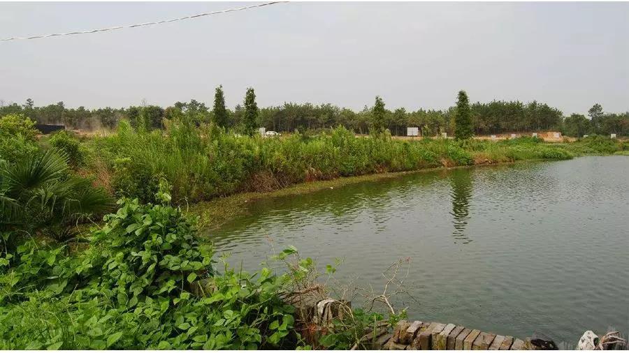 色翁荡息又大又硬又粗又爽