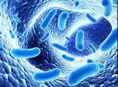 色翁荡息又大又硬又粗又爽