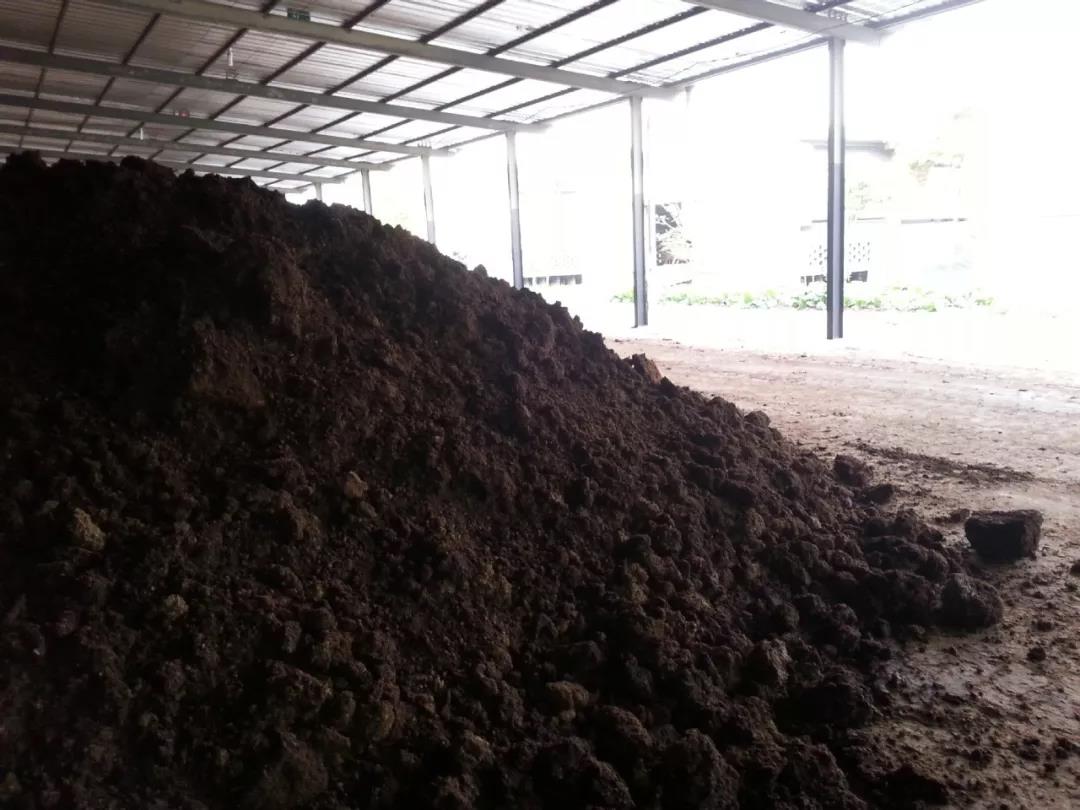 色翁荡息又大又硬又粗又爽