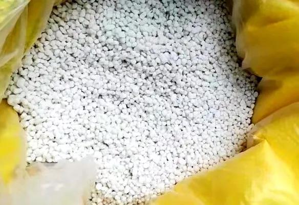 色翁荡息又大又硬又粗又爽