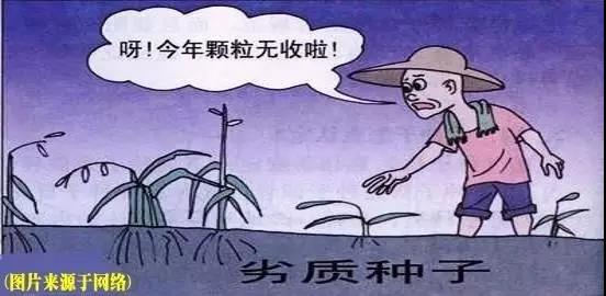 色翁荡息又大又硬又粗又爽