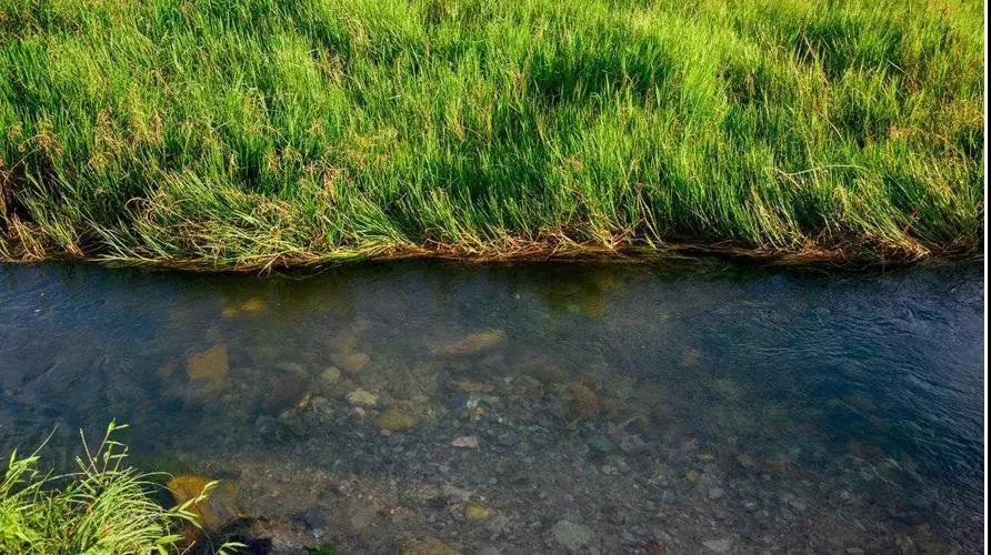 色翁荡息又大又硬又粗又爽