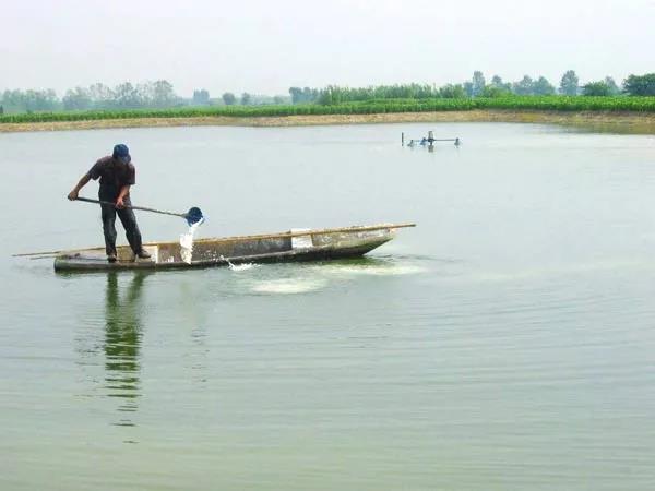 色翁荡息又大又硬又粗又爽