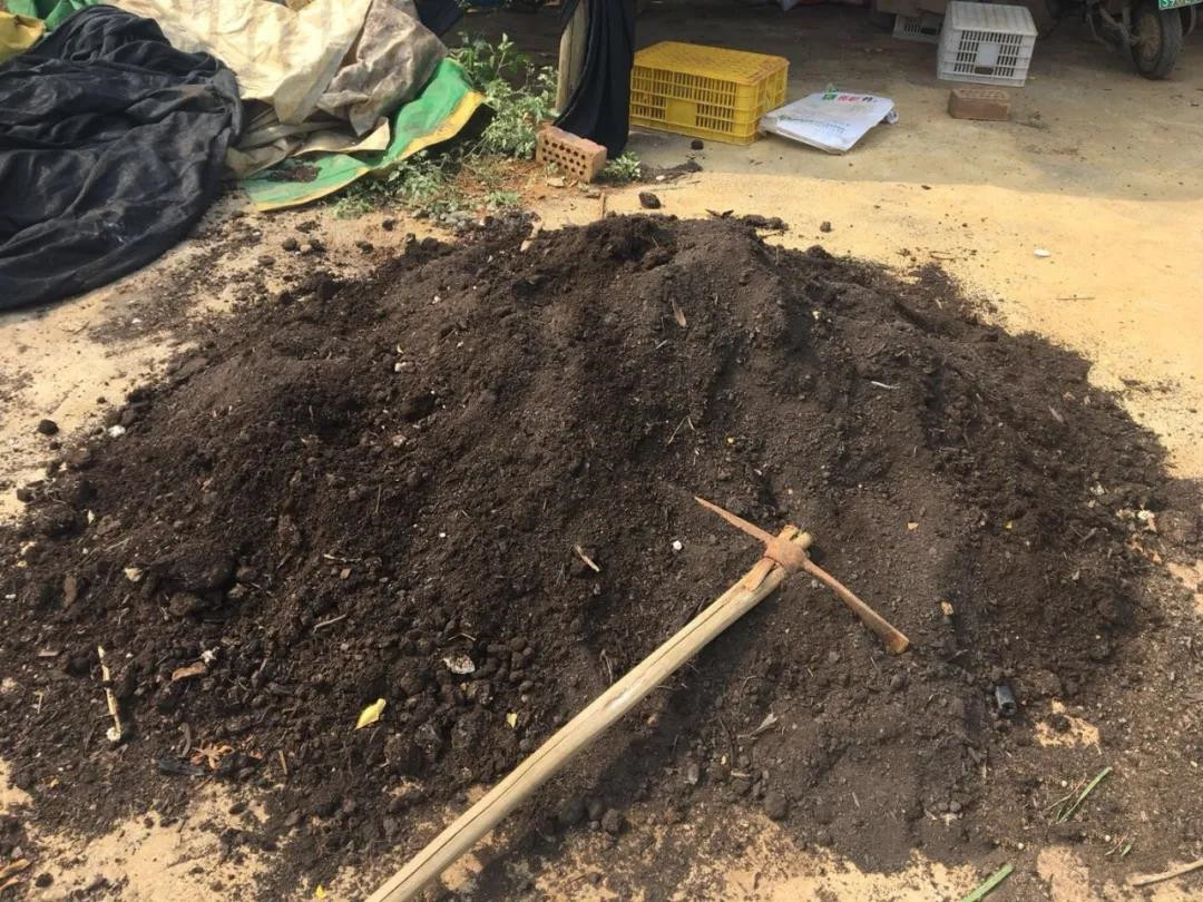 色翁荡息又大又硬又粗又爽