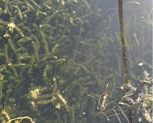 色翁荡息又大又硬又粗又爽