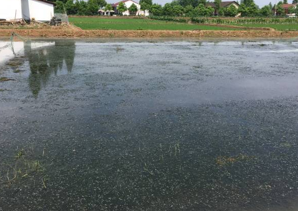 色翁荡息又大又硬又粗又爽