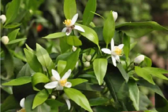 色翁荡息又大又硬又粗又爽