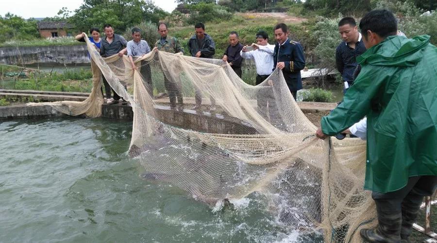 色翁荡息又大又硬又粗又爽