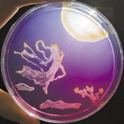 色翁荡息又大又硬又粗又爽