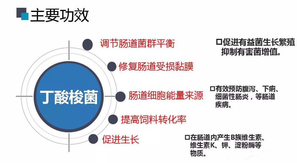 色翁荡息又大又硬又粗又爽