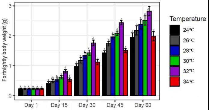 色翁荡息又大又硬又粗又爽