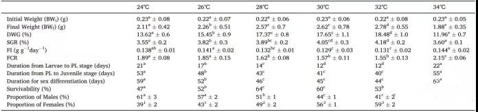 色翁荡息又大又硬又粗又爽