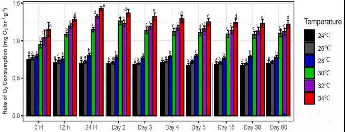 色翁荡息又大又硬又粗又爽