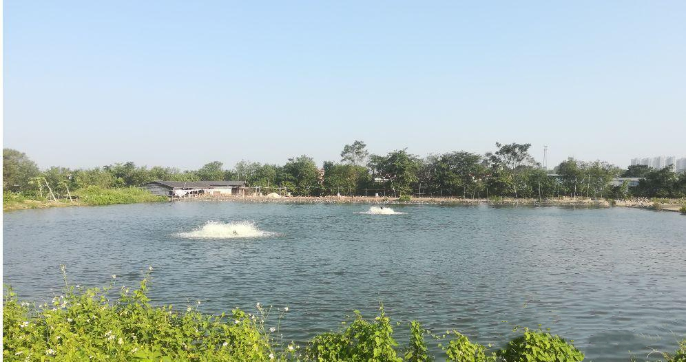 色翁荡息又大又硬又粗又爽