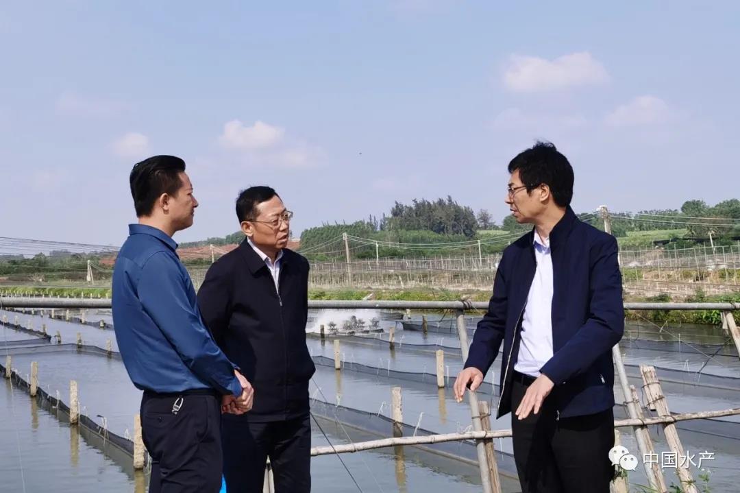 色翁荡息又大又硬又粗又爽