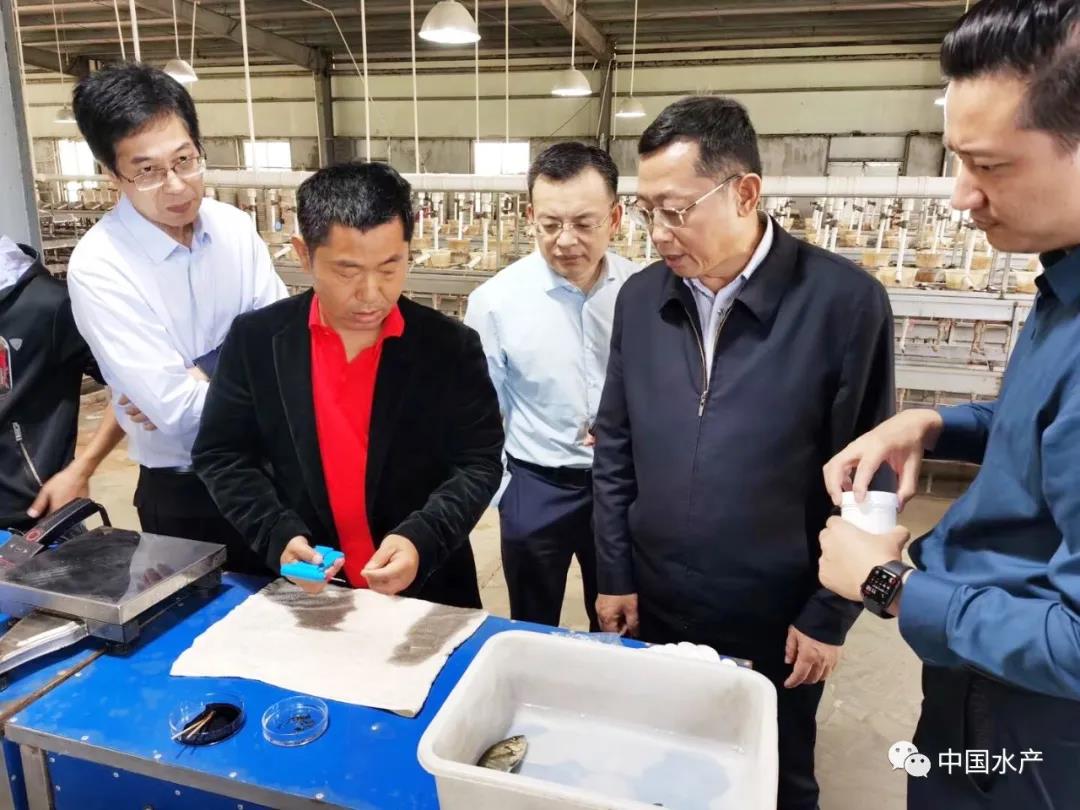 色翁荡息又大又硬又粗又爽