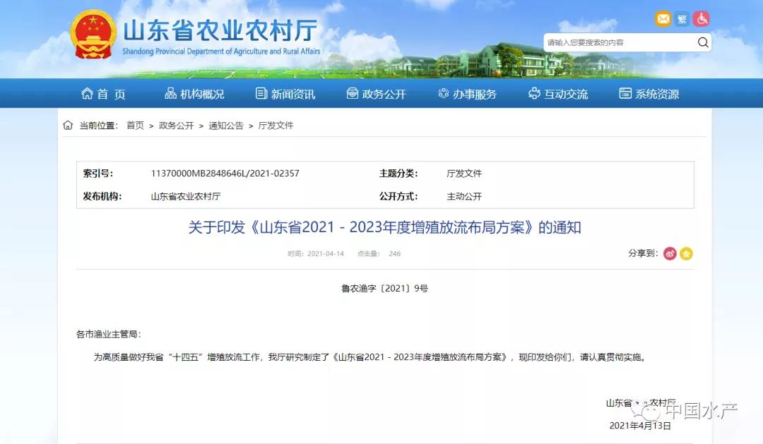 色翁荡息又大又硬又粗又爽