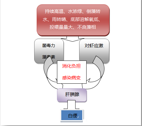 色翁荡息又大又硬又粗又爽